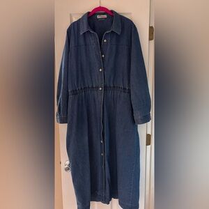 Vintage Norm Thompson Blue Denim Button Front Dress